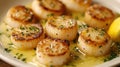 Seared scallops in butter sauce Royalty Free Stock Photo
