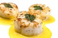 Seared Scallops in Safron Sauce