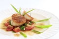 Seared scallops salsa Royalty Free Stock Photo
