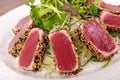 Seared tuna salad closeup Royalty Free Stock Photo