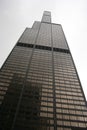 Sears Tower Chicago Royalty Free Stock Photo