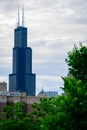 Sears Tower Chicago on a summers day Royalty Free Stock Photo