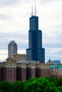 Sears Tower Chicago on a summers day Royalty Free Stock Photo