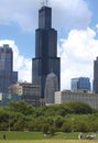 Sears/Willis Tower in Chicago, Illinois Royalty Free Stock Photo