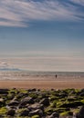 Seascale Royalty Free Stock Photo