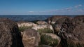 Seascape with granite boulders covered with green-white seaweed.