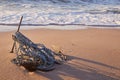 Seascape anchor on the sandy beach of the sea