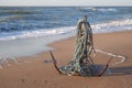 Seascape anchor on the sandy beach of the sea