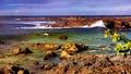 Seascape background at Pupukea Shark Cove Royalty Free Stock Photo