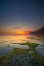 Seascape for background. Sunset time. Beach with rocks and stones. Low tide. Stones with green seaweed and moss. Blue sky with Royalty Free Stock Photo