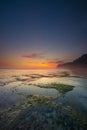 Seascape for background. Sunset time. Beach with rocks and stones. Low tide. Stones with green seaweed and moss. Blue sky with Royalty Free Stock Photo