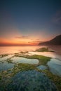 Seascape for background. Sunset time. Beach with rocks and stones. Low tide. Stones with green seaweed and moss. Blue sky with Royalty Free Stock Photo