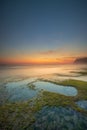 Seascape for background. Sunset time. Beach with rocks and stones. Low tide. Stones with green seaweed and moss. Blue sky with Royalty Free Stock Photo