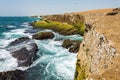 Seascape at the beach of chabahar, iran