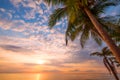 Coconut palm tree on tropical beach seascape in summer. Royalty Free Stock Photo