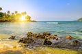 Seascape with beautiful waves, rocky shore, tropical palms and bright sun Royalty Free Stock Photo