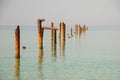 Seascape with blue calm water and rows of Rusty pipes with green algae on summer day. Rusty pipes remaining from old pier. Royalty Free Stock Photo