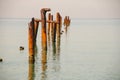 Seascape with blue calm water and rows of Rusty pipes with green algae on summer day. Rusty pipes remaining from old pier. Royalty Free Stock Photo