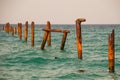 Seascape with blue calm water and rows of Rusty pipes with green algae on summer day. Rusty pipes remaining from old pier. Royalty Free Stock Photo