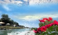 Seascape Blue Sea Green Water On Horizon Beach Cafe  Blue Sky  , Sea, Pink Flowers But Branch ,white Sand On Beach Summer  Exotic
