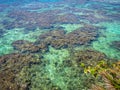 Seascape of the blue turquoise clear tropical ocean water and reef. Roatan island, Honduras. Royalty Free Stock Photo