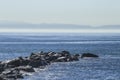 Seascape at Cabrillo Beach