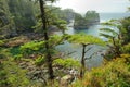 Seascape in cape flattery Royalty Free Stock Photo