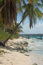 Seascape of caribbean sea with palms Royalty Free Stock Photo