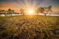 Seascape Coastal Scenery and Meadow View at Sunrise, Natural Landscape Mangrove Trees and Meadows Plant With Morning Sunlight of