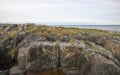 Seascape with coastal stones with rusty splashes