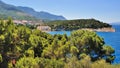 Seascape coastline the Makarska Riviera, a pine in the front plane