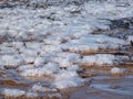 Seascape depicting landscape of Baltic sea and beach with yellow sand an frozen icce blocks in sand and blue sky in winter Royalty Free Stock Photo