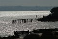 Seascape at DoÃÂ±ana Royalty Free Stock Photo