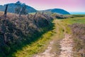 Country dirt road to the sea Royalty Free Stock Photo