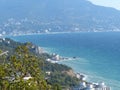 Seascape. Evergreen trees on the background of a calm sea, complete calm. Sea view from the Sun trail.