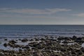 Seascape of fog morning Black Sea and flock Silver gulls or Larus argentatus in flight on the coast near ancient city Nessebar Royalty Free Stock Photo