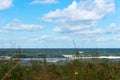 Sea view through the wild rose bushes, seascape through the grass Royalty Free Stock Photo