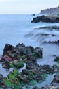 Seascape with green algae