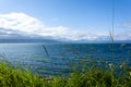 Seascape with green grass, sea and blue sky background. Royalty Free Stock Photo