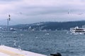 Seascape of Istanbul and seaguls