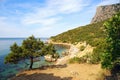 The seascape.Juniper on the Black sea.