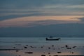 Seascape of Koh Samui, Thailand. Boat at sunset.