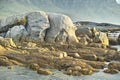 Seascape, landscape, scenic view of boulders and rocks in Hout Bay, Cape Town, South Africa. Ocean, sea washing onto a Royalty Free Stock Photo