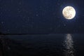 Seascape on moonlight and starlight Royalty Free Stock Photo