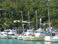 Seascape with mooring yachts in the marina, the marina with houses, in the blurred background trees,,Whitsunday Royalty Free Stock Photo