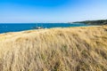 Seascape near Molinella beach and the town of Vieste on the foreground, Apulia, Italy Royalty Free Stock Photo