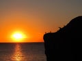 Seascape orange sunset and silhouettes of seagulls in summer evening