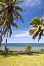 Seascape with palm trees