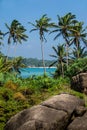 Seascape with palms and stones, vertical