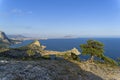 Seascape with relict treelike juniper. Crimea.